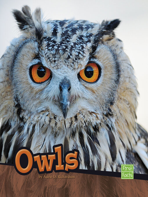 Cover image for Owls